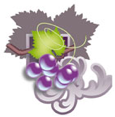 Logo Federation Dromoise des IGP viticoles